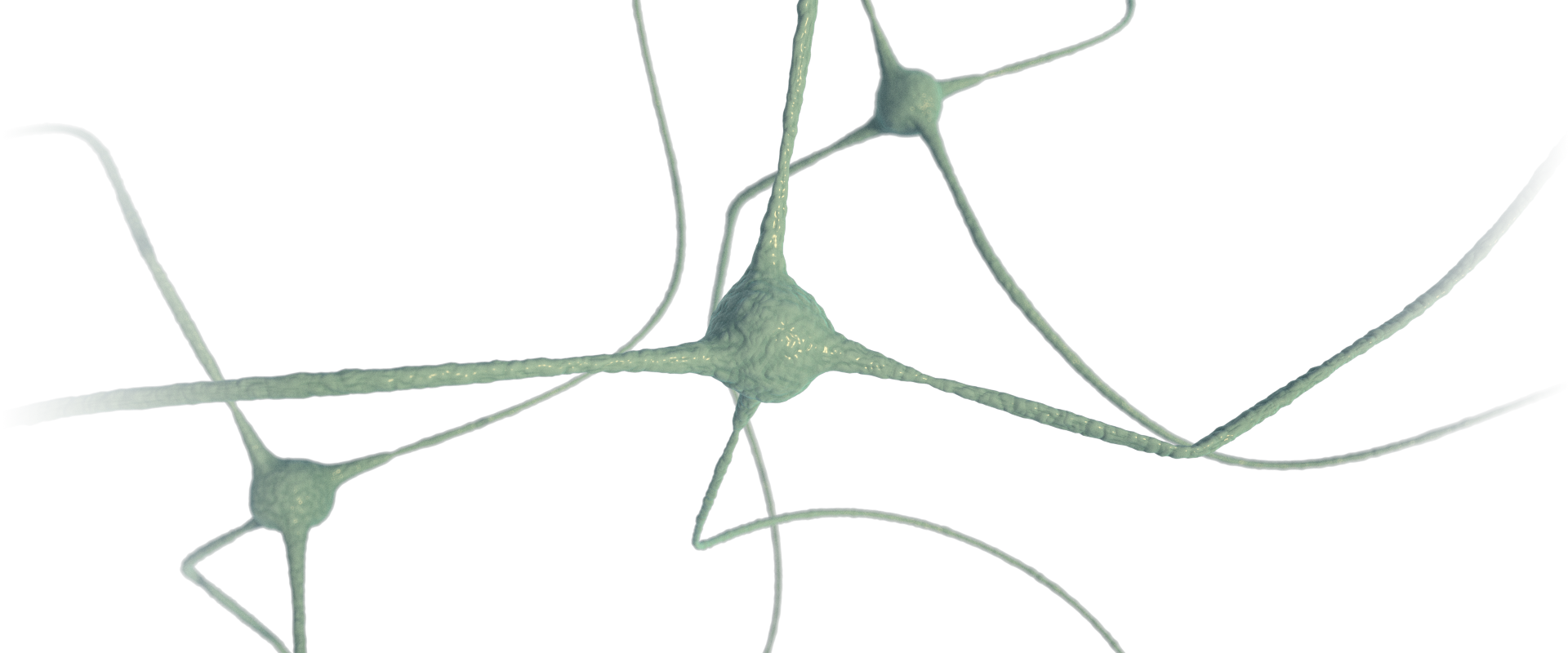 Neuro Nerve
